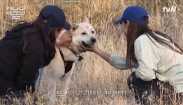 “개농장 트라우마 치유 어려워” 이효리, 빼꼼이와 재회 ‘감동’ (캐나다체크인)[어제TV]