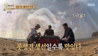 “생긴 게 무서워” 김호중 김광규 허경환 압도한 간재미 존재감 (안다행)[어제TV]