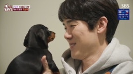 “강아지들에 인기있어” 유연석, 150마리 유기견 봉사 나섰다 “편견 바뀌길”(동물농장)[종합]