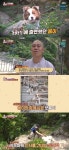 영축산 등산 안내견 몽이 근황…새끼 5마리 출산+몸무게 급증 (동물농장)[종합]