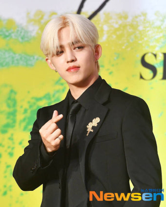 ‘무릎 부상’ 세븐틴 에스쿱스 “촬영중 다쳐 놀라…수술 잘 받겠다”[종합]