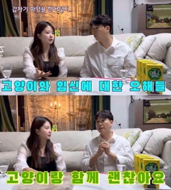 2세 준비 중, 박수홍김다예 “고양이 임신에 장애물 NO”(다홍)