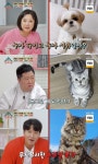 이찬원, 수의사도 인정한 귀여움 “랙돌 닮은꼴, 사람 친화적”(옥문아)