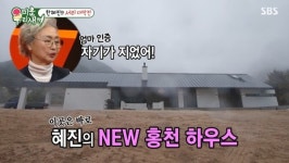 한혜진, 홍천 시골하우스 공개 “자재 직접 골라 지어” (미우새)