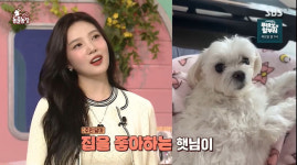 조이 “반려견 햇님과 성격 비슷, 산책 싫어하는 집순이” (동물농장)