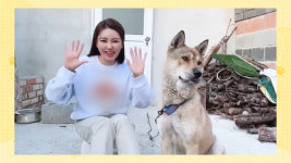 박성광→윤지성 봉사단 결성, 화성 강아지 번식장 찾았다(개훌륭)