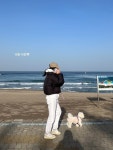 송혜교, 바닷가 산책 데이트 “너랑 나랑♥”