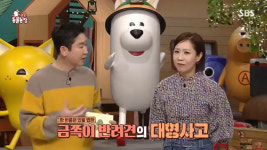 美 가정집서 반려견이 4천 달러 꿀꺽…대변까지 뒤진 보호자 ‘충격’ (동물농장)