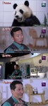 강철원 사육사, 푸바오와 이별 앞두고 “웃으며 보내고 싶지만 잘 안돼” 먹먹 (동물농장)