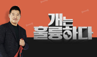 강형욱 갑질 의혹 후폭풍 ‘개는 훌륭하다’ 오늘(20일) 긴급 결방