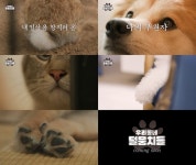 정재형 혜리 신규진 뭉친 ‘털뭉치들’ 일상 망치러온 구원자 라인업