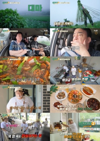 ‘백패커2’ 백종원, 촬영중 대마→경찰차 등장에 당황[오늘TV]