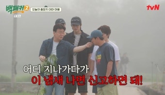 백종원 “군 시절 대마 제거 작업, 이 냄새 나면 신고해야” (백패커2)
