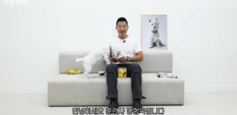 강형욱, 갑질 의혹 딛고 ‘개통령’ 복귀→210만 구독자 응원