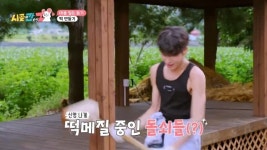 정동원 상남자 다 됐네, 셔츠 벗고 팔근육 자랑 떡메치기(시골간Z)[결정적장면]