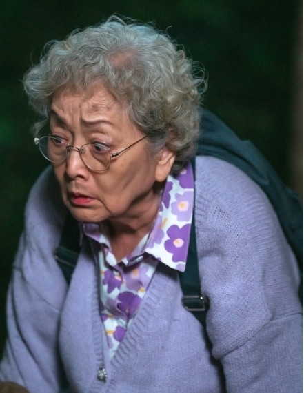 다리미 패밀리, 김영옥과 박인환의 연상연하 부부 케미가 안방극장을 사로잡다