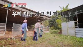 이은지, 염소 탈출 대형사고 치고 멘붕 “재산 날아간 줄”(시골간Z)[결정적장면]