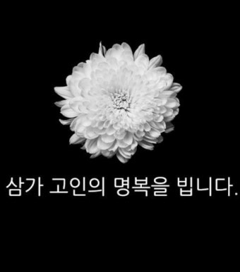 “학폭 억울, 경찰 조사” 안세하 활동 멈춘 지 3개월 만…먹먹한 제주항공 참사 애도