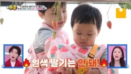 은우 딸기 따서 정우 바구니에 넣어 “좋은 형” 박수홍 감탄 (슈돌)