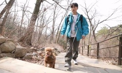 이주승, 8㎏ 코코 다이어트 위해 동반 등산하다 사족보행(나혼산)