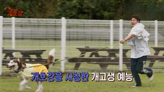 아이브 레이, JTBC 집 나가면 개호강 고정 멤버 합류! 새로운 예능도전에 기대가 모이다.