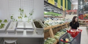 2025 MBC 대선 개표방송의 숨은 주역, 미니오브닝의 정체(전참시)