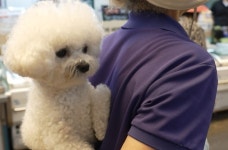 부산 어부바개 영배, 드디어 ‘동물농장’ 뜬다…할머니에 업힌 시장 인기★