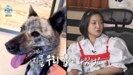 박나래, 혼자 살던 55억 家 새 가족 생겼다‥조부 진돗개 입양(나혼산)