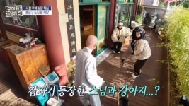 김숙 ‘동물농장’ 나온 상습 가출 중생견 반야 만났다 “이젠 교육 돼”(홈즈)[결정적장면]