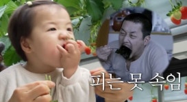 황보라 子, 큰 아빠 하정우 피는 못 속여…똑 닮은 먹성 폭발(보라이어티)