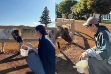 류이서♥전진, 2세 준비 중 떠난 제주도 “너무 좋았던 목장”