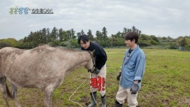 말에도 차별당한 이광수, 급소 맞았다‥평화로운 도경수와 극과 극(콩콩팜팜)[어제TV]