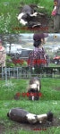신예은, 연진이 말썽에 해탈‥말리라는 이광수에 “지 인생이지”(콩콩팜팜)
