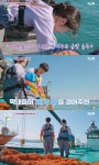 노윤서, 이대 미대 출신다운 금손‥염정아도 인정한 에이스(산지직송3)[결정적장면]