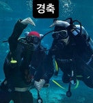 ‘34년 모솔’ 한 푼 빠니보틀, 여친 공개→결혼 전 신행부터…물속에서도 꼭 잡은 손[종합]