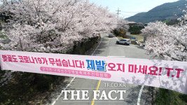 [TF포토기획] 올해는 오지 마세요!…사회적 거리두기 필요한 봄꽃 명소들