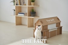 삼성전자, TV 포장재 업사이클링 결정 환경 보호 앞장