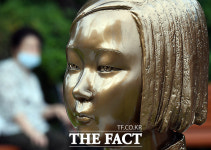 [TF포토] 얼굴에 상처 입은 도봉구 평화의 소녀상