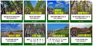 포항시 맨발걷기 좋은 ‘포항 맨발路 8선’ 선정!