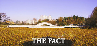 전주 덕진공원 연화교, 40년만에 새단장