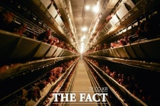 임실 오수면 종계 농장서 조류인플루엔자(AI) 항원 검출