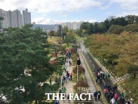그린웨이로 포항이 확 바뀌었어요