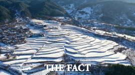 [TF포토]구례군 산동면 사포마을 다랭이논의 설경
