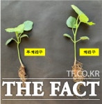 전북 정읍시, 유용 미생물 100톤 공급! 고품질 농산물 생산 효과 ‘톡톡’