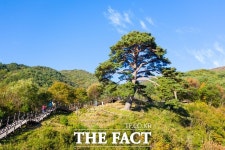 지리산 천년송 비대면 안심관광지 선정
