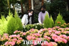 동부권개발사업 지리산허브밸리 감성정원을 만든다