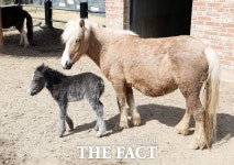 울진, 왕피천공원 동물농원에 경사났네