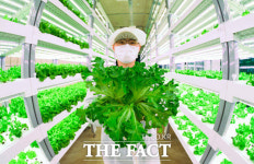지하철역 식물 농장 보셨나요?...농업도 최첨단 IOT 시대 [TF포토기획]