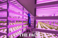 지하철역 식물 농장 보셨나요?...농업도 최첨단 IOT 시대 [TF포토기획]