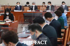 '예비타당성 조사' 논의하는 국회 [TF사진관]